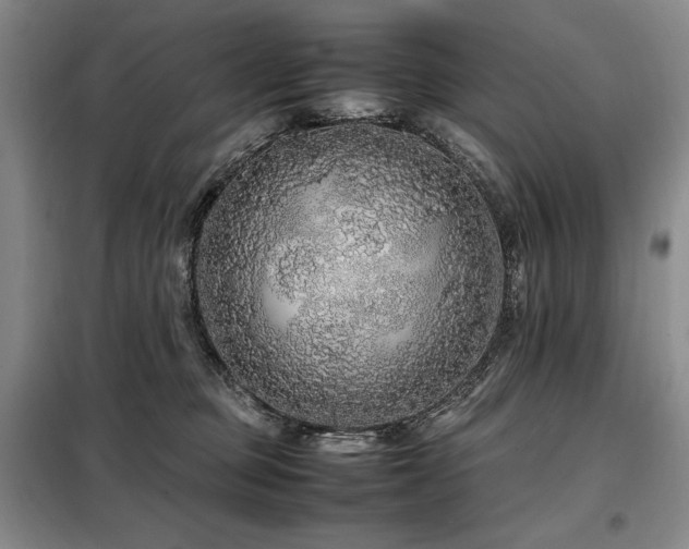 X0000099310373200805021319