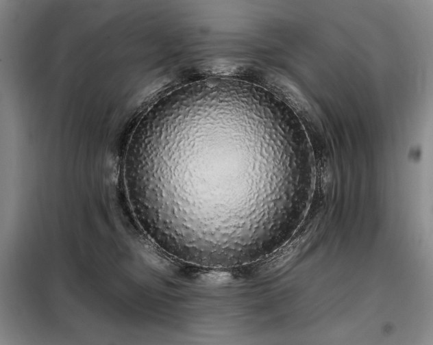 X0000099310374200805021319
