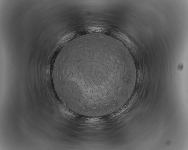 X0000099310377200805021319