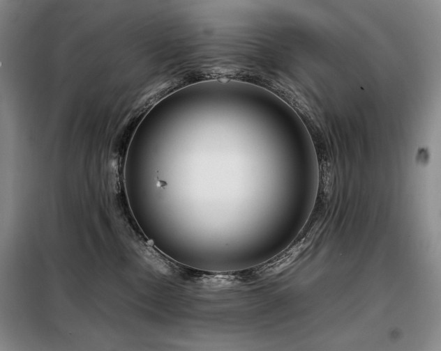 X0000099310378200805021319