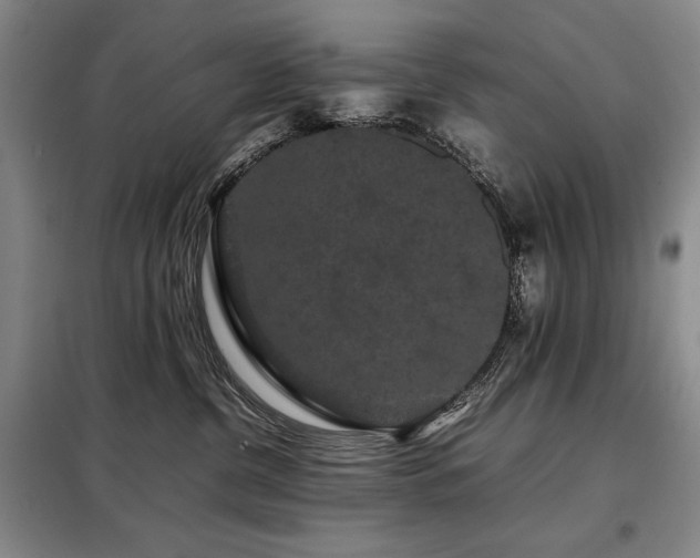 X0000099310380200805021320