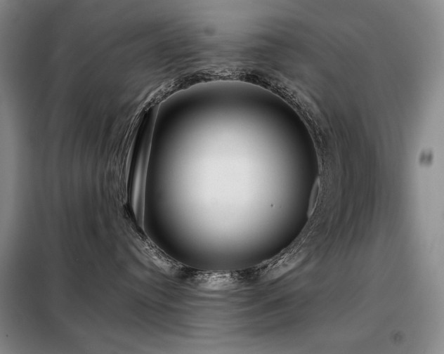 X0000099310384200805021320