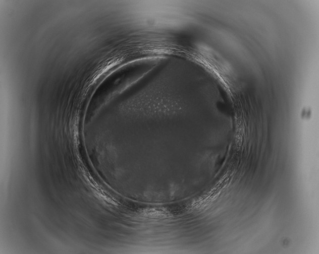 X0000099310386200805021319