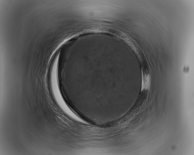 X0000099310387200805021319