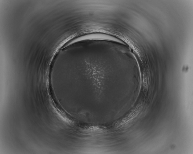 X0000099310390200805021319