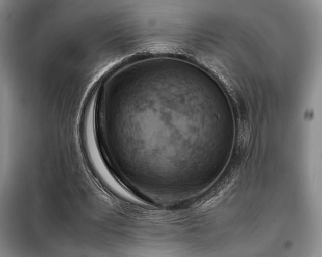 X0000099310391200805021319