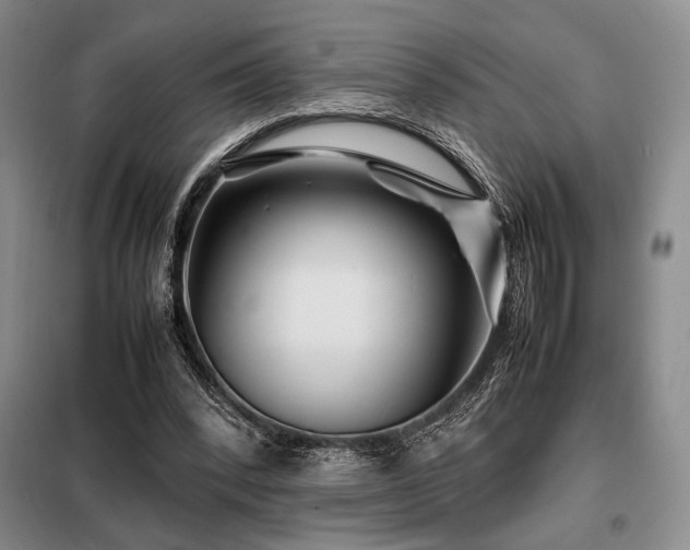 X0000099310392200805021319