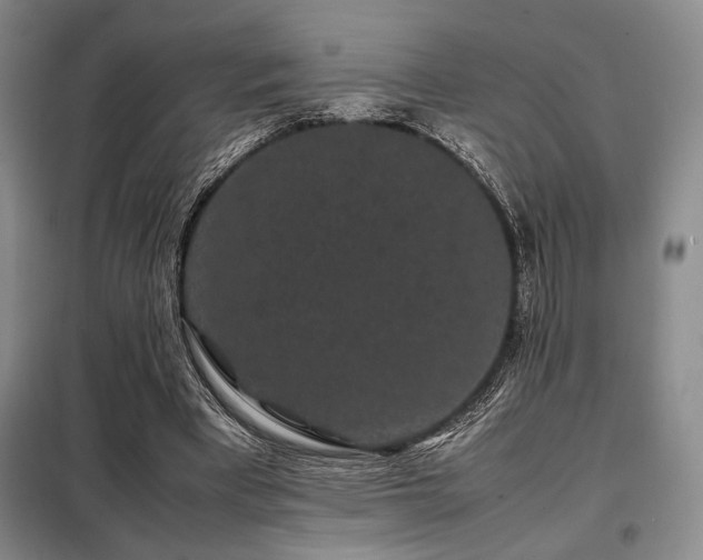 X0000099310393200805021319
