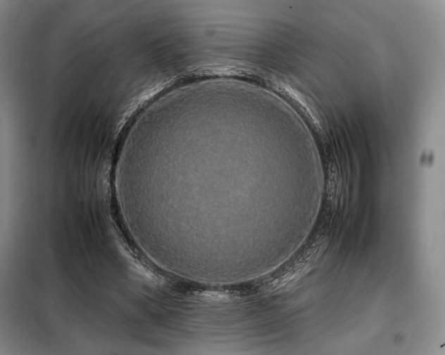 X0000099310394200805021319