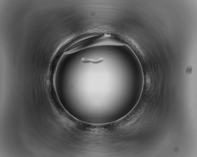 X0000099310396200805021319