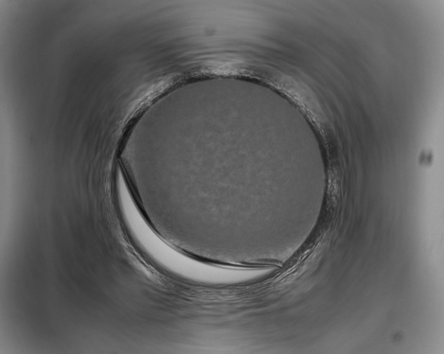 X0000099310397200805021319