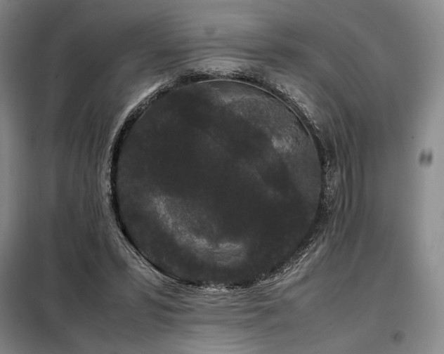 X0000099310399200805021319