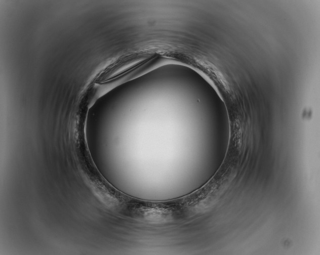 X0000099310400200805021319