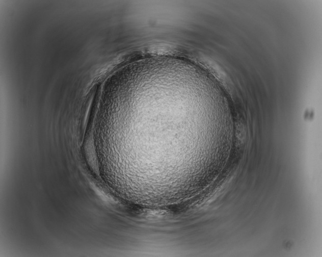 X0000099310401200805021319