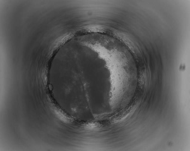 X0000099310402200805021319