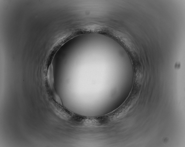X0000099310403200805021319