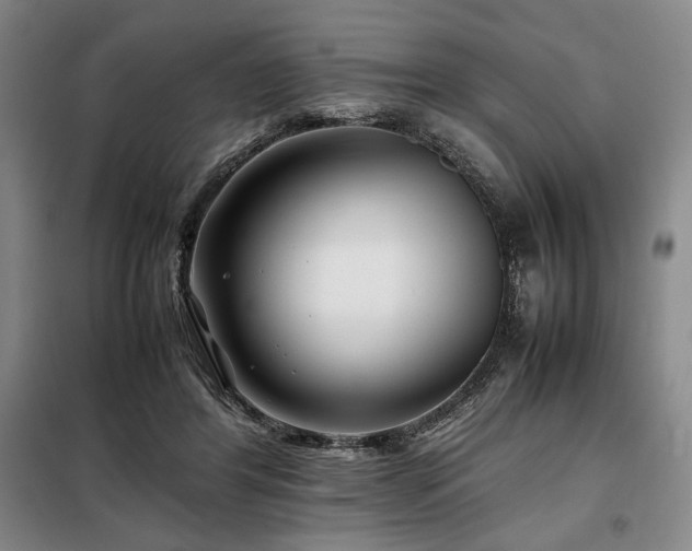 X0000099310404200805021319