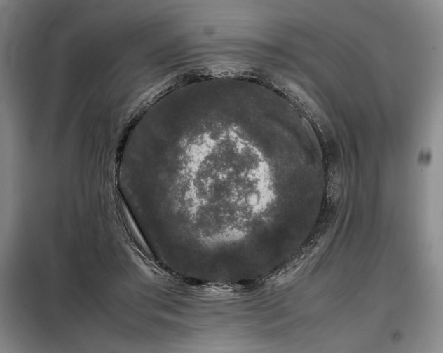 X0000099310405200805021319