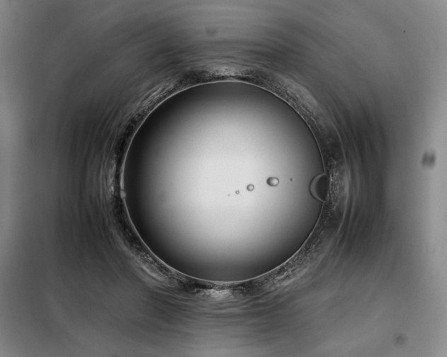 X0000099310406200805021319