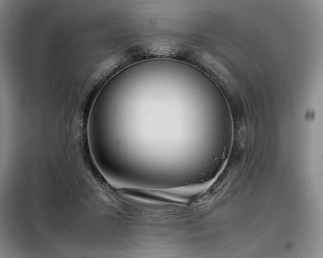 X0000099310407200805021319