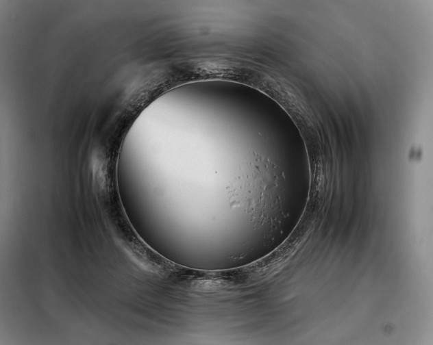 X0000099310408200805021319