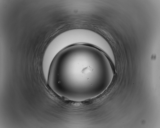 X0000099310409200805021319