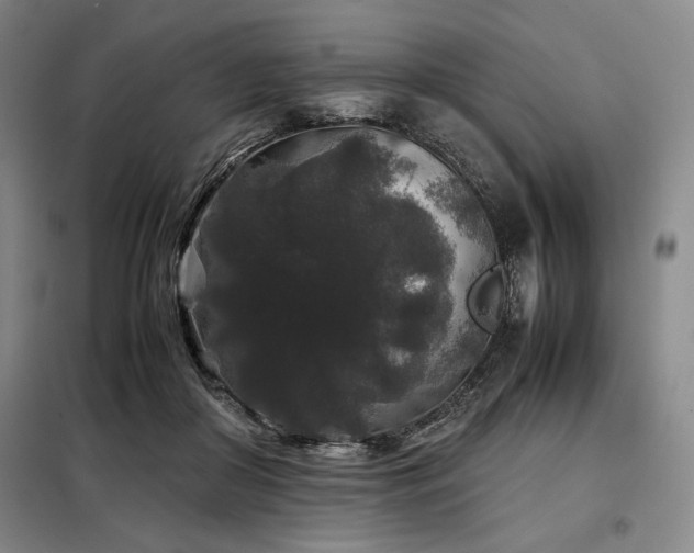 X0000099310410200805021319