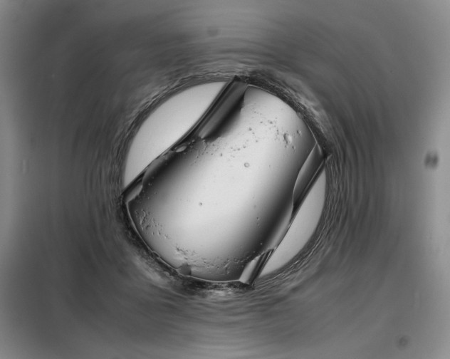 X0000099310411200805021319
