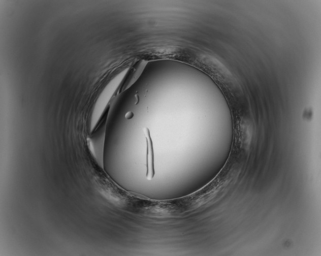 X0000099310412200805021319