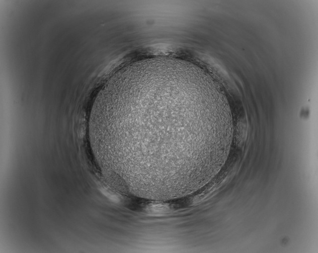 X0000099310413200805021319