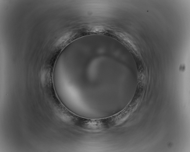 X0000099310415200805021318