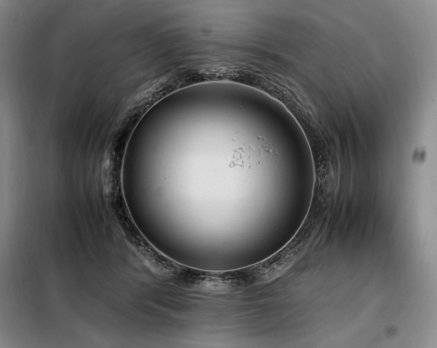 X0000099310416200805021318
