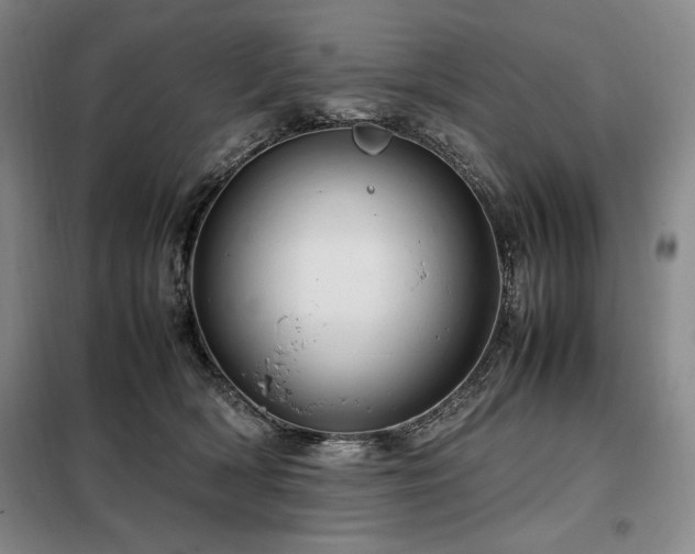 X0000099310418200805021318