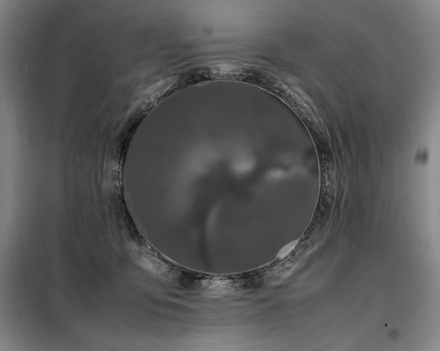 X0000099310419200805021318
