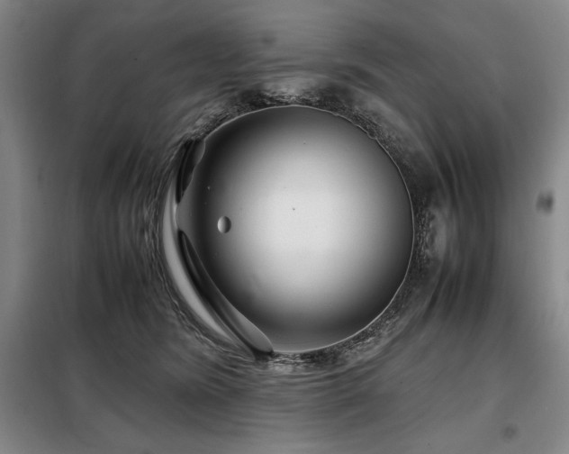 X0000099310420200805021318