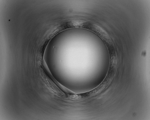 X0000099310421200805021318