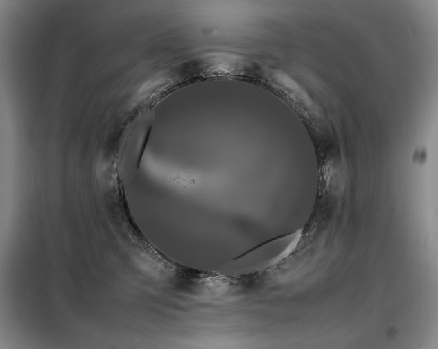 X0000099310423200805021318