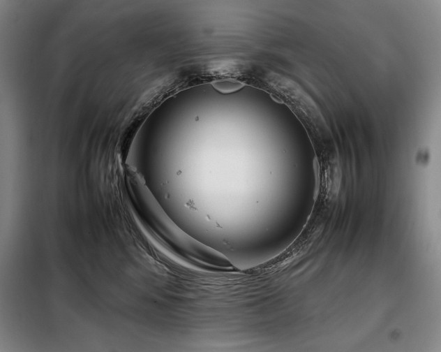 X0000099310424200805021318