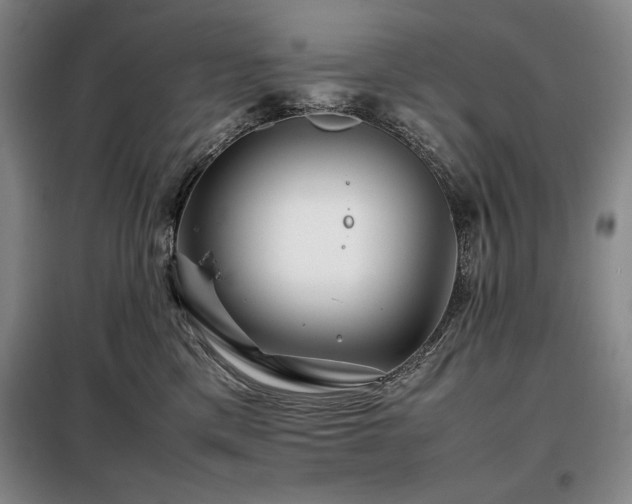 X0000099310425200805021318