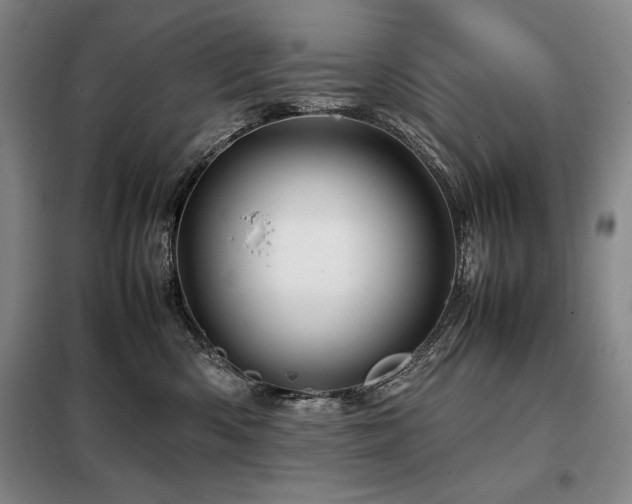 X0000099310426200805021318