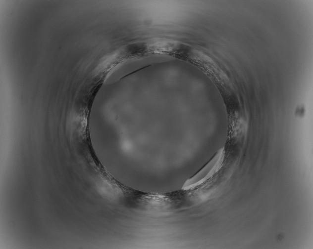 X0000099310427200805021318