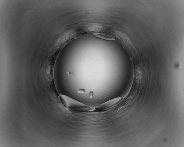 X0000099310428200805021318