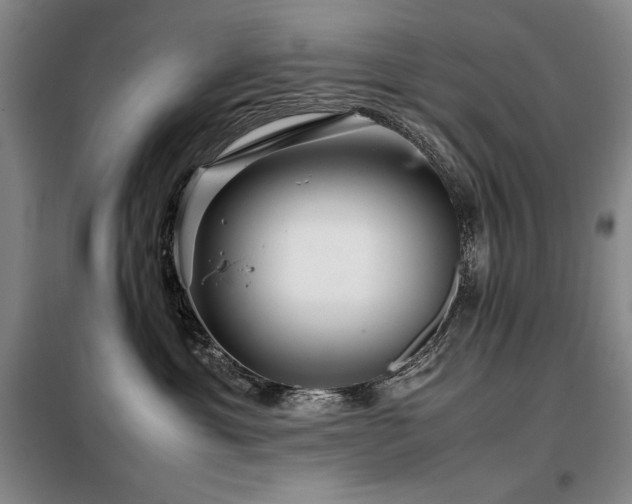 X0000099310429200805021318