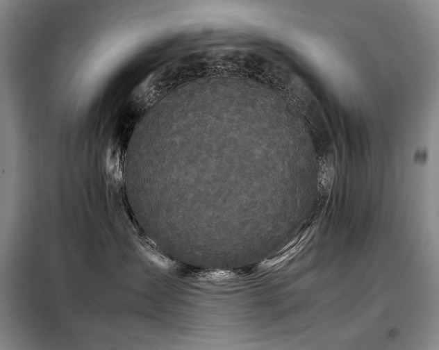 X0000099310431200805021318