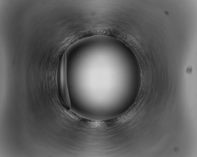 X0000099310432200805021318