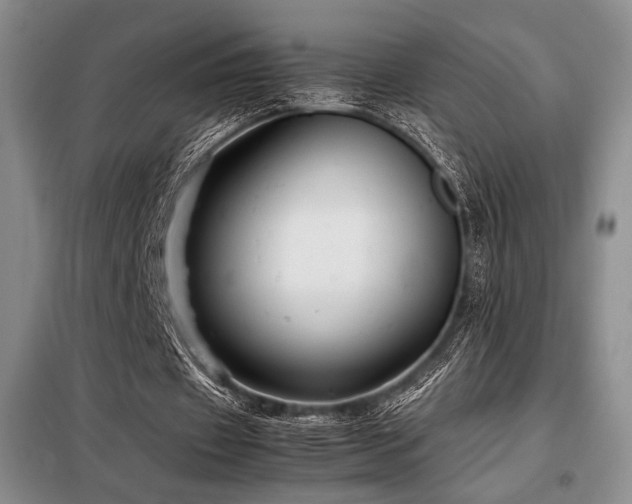 X0000099310433200805021317