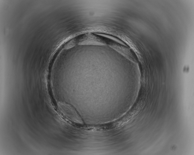 X0000099310434200805021317