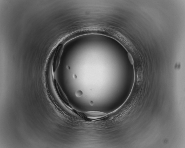 X0000099310436200805021317