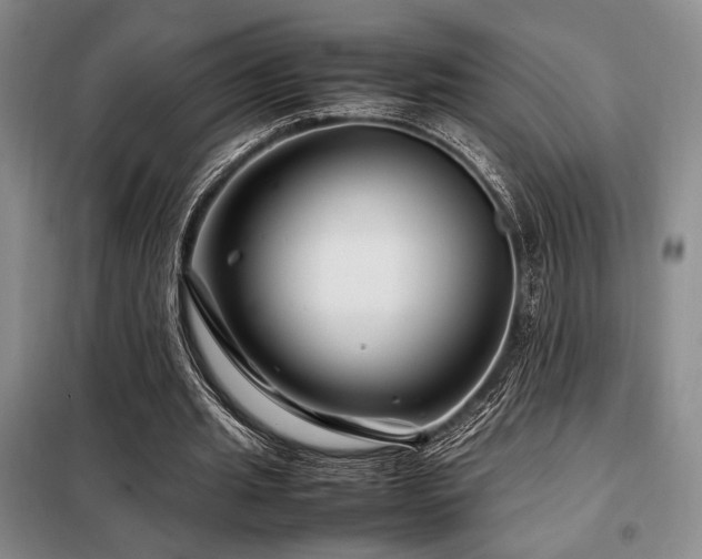 X0000099310437200805021317