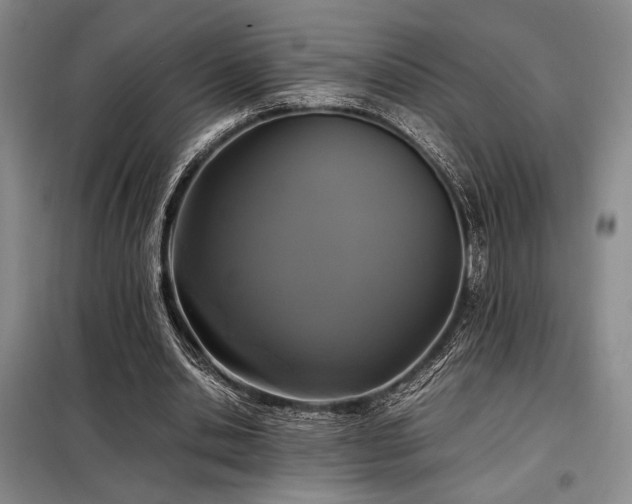 X0000099310438200805021317